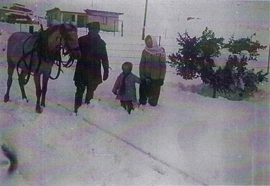 שלג ביקנעם 1950