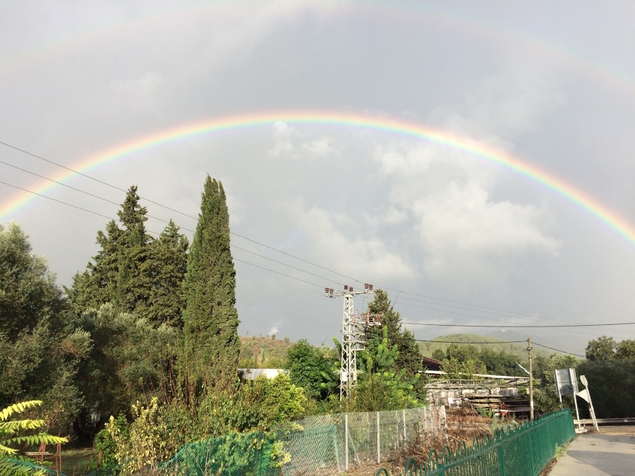 תמונה שצילמה נילי כהן